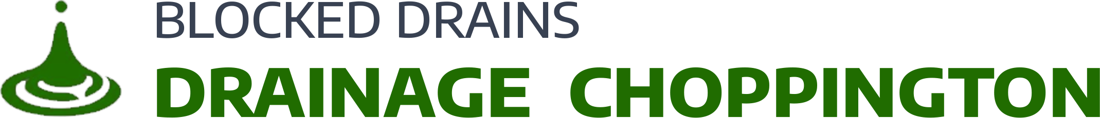 website logo